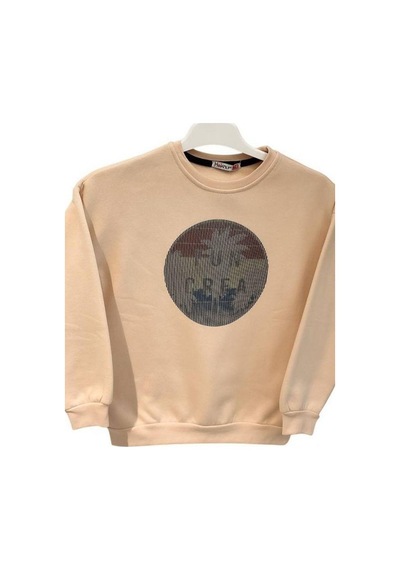 Cantoy Erkek Çocuk İçi Şardonlu Baskılı Sweatshirt-15198 Bej