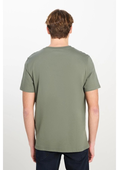 Regular Fit Grafik Baskılı T-shirt Khaki Renkli