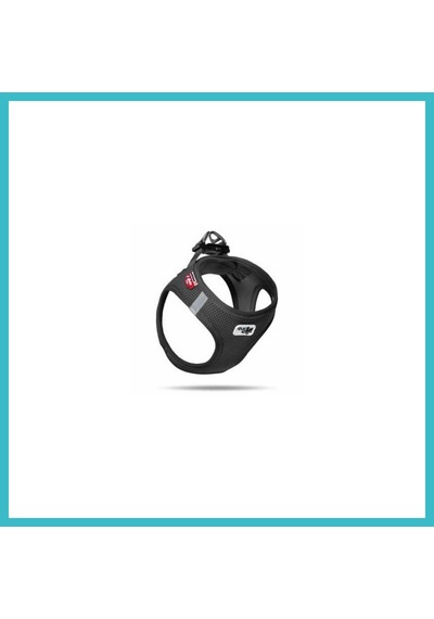 Bezos Vest Köpek Göğüs Tasması Air-mesh Black 3xs Dfnbez Çok Renkli