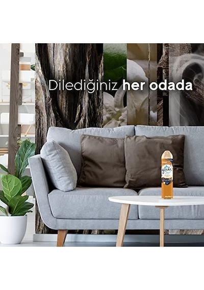 Aerosol Oryantal Oud Oda Kokusu 300 Ml 1 X 300 Ml Açık Gri