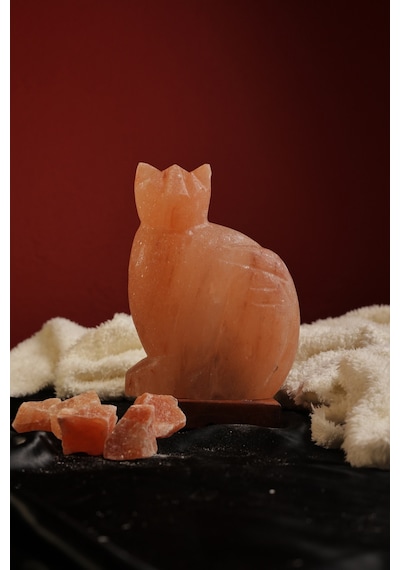 Himalaya Kedi Model Tuz Lambası Ahşap Kaideli Dekoratif Ortam Lambası