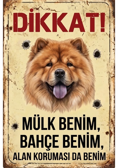 Dikkat Köpek Var - Çin Aslanı Chow Chow Tasarımlı Dikkat Köpek Var Levhası - "mülk Benim" Vintage Tabela Çok Renkli