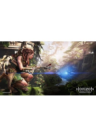 Horizon Forbidden West Ps5