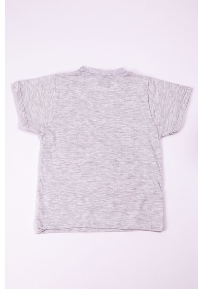 Hçm Erkek Çocuk Tshirt Dinozor Baskılı A28 Gri