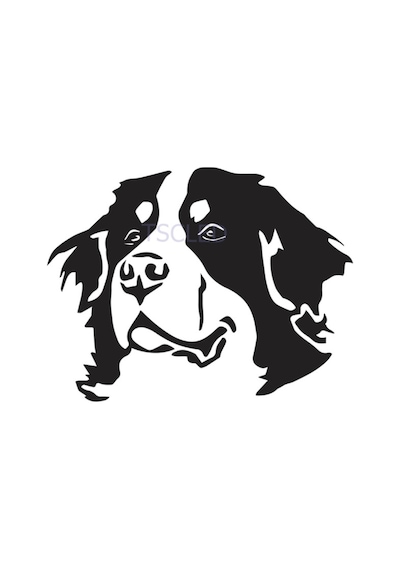 Isviçre Bernese Dağ Köpeği Kafa Araba Çıkartmaları