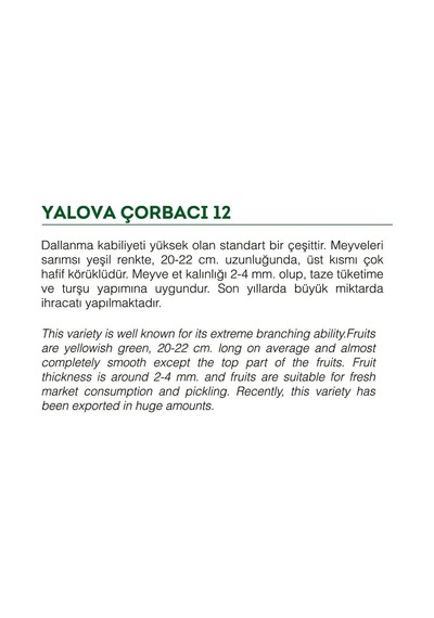 AGRodal Tarım Ata Tohumu Sivri Biber Yalova Çorbacı 100 Adet Tohum