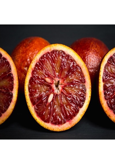 Tüplü Aşılı İlginç Meyveli Kırmızı Australian Blood Limon Fidanı