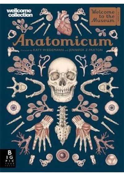 Anatomicum (Welcome To The Museum) - Jennifer Z Paxton - Kings Road Publishing