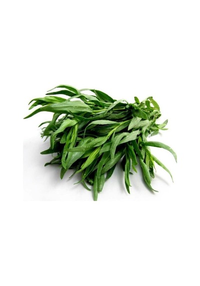 40 Adet Yerli Ata Tarhun Tohumu Artemisia Dracunculus L.