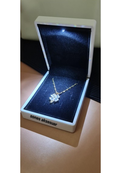 Işıklı Kutulu Taşlı Çelik Kolye 059 Gold
