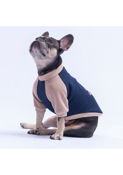 Lacivert Boston Pawstar Sweat Köpek Sweatshirt Köpek Sweat Köpek Kıyafeti Kedi Kıyafeti Lacivert Boston Pawstar Sweat Köpek Sweatshirt Köpek Sweat Köpek Kıyafeti Kedi Kıyafeti