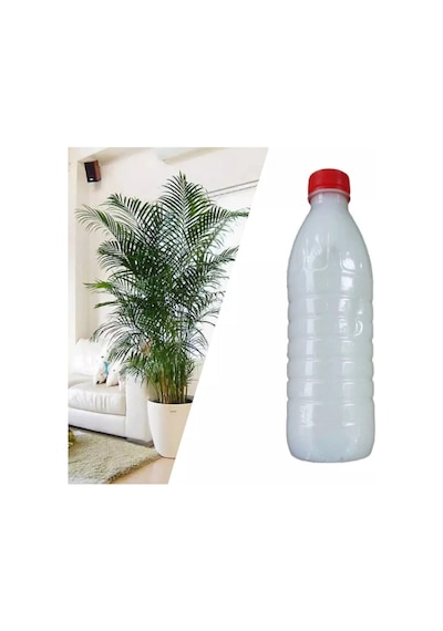 Salon Ve İç Mekan Bitkileri İçin Özel İlaç Karışımı 500 Ml Diğer