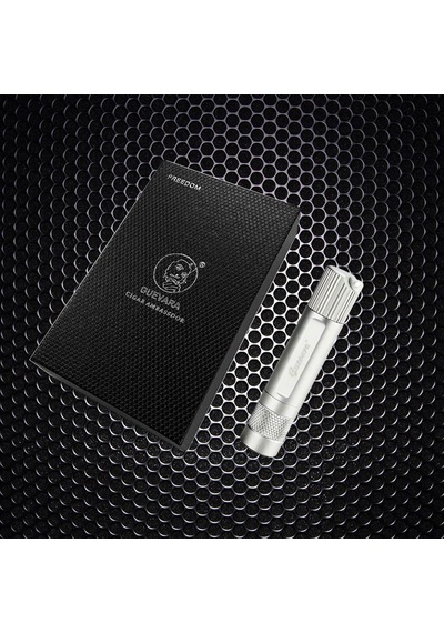 Guevara Drawpoker Puro İğnesi Ve Delicisi Silver 9cm