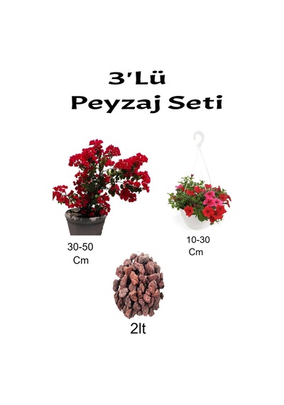 Çok Avantajlı 3'lü Peyzaj Seti Kırmızı Begonvil Kırmızı Petunya Çiçeği Curf