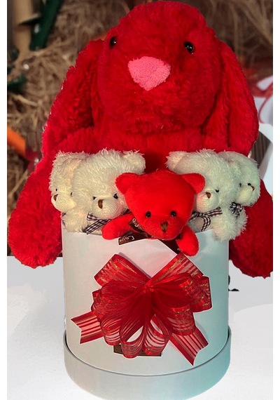 Özel Kutuda, Aşk Temalı Peluş Hediye Kutusu Kırmızı Jellycat Tavşan & 5 Mini Ayıcık Özel Tasarım