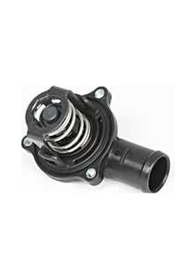 Bsg Termostat Komple S46487g1 - A6 04-11