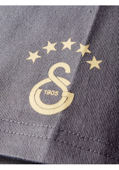 Gsstore Galatasaray Erkek T-shirt E252097 Antrasit