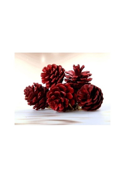 Artte Yılbaşı Ağaç Süsü Kozalak 4 Cm 6 Parça