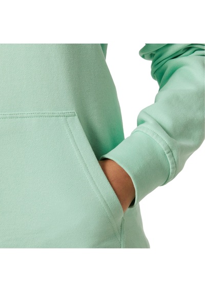 Helly Hansen W Hh Logo Hoodıe 12379 Mint