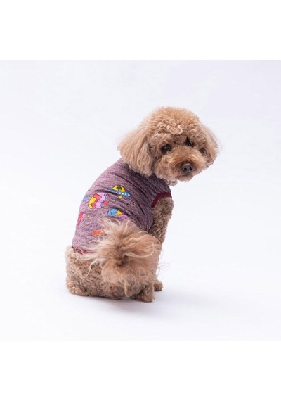 Pawstar Bordo Space Time T-shirt Küçük Irk