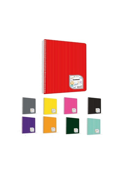 Çınar 60 Yaprak Çizgili Defter A4 Spiralli Pp - 4 Adet Çok Renkli