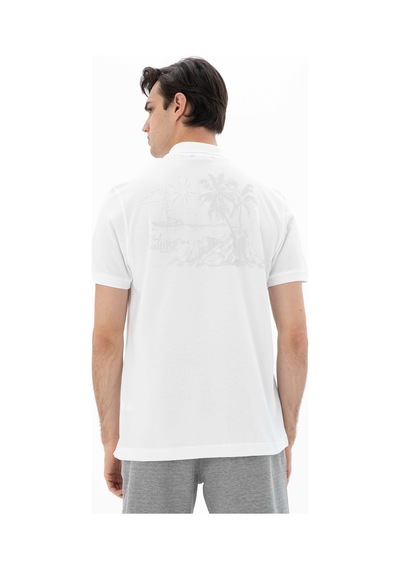 AR-MA Arma Erkek Regular Fit Polo Yaka Tişört Y25374351901 001