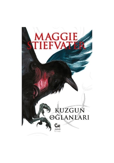 Kuzgun Oğlanları / Maggie Stiefvater
