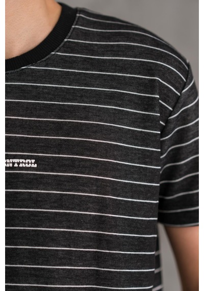 Reguler Fit Bisiklet Yaka Likralı Çizgili Erkek Yazlık T-shirt 001