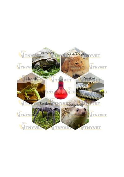100 Watt Kızılötesi/kırmızı Işık Isıtıcı Lambalar Sürüngenler, Amfibiler Ve Kuşlar Için Enerji Sınıfı A