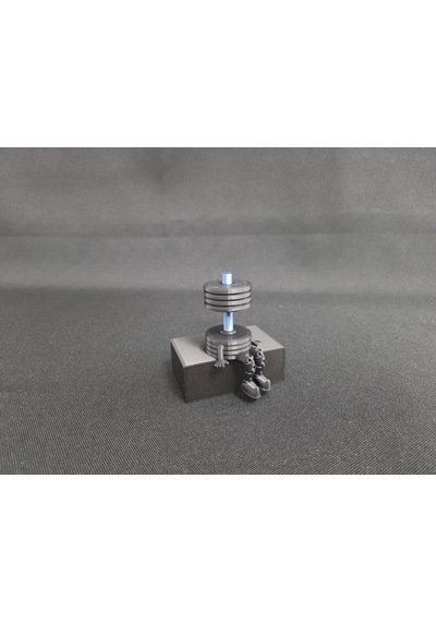Spor Temalı Dekoratif Dambıl Figürlü Masaüstü Biblo Modern Tasarım 5x7x6 Cm