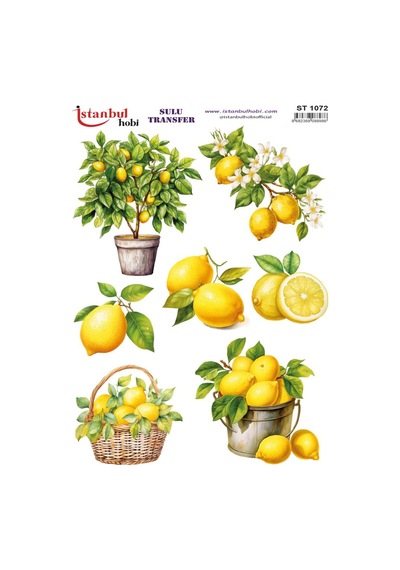 Sulu Transfer Kağıdı 25x35cm St-1072