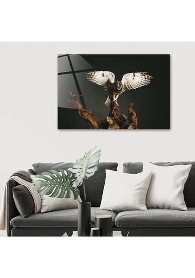 Decorita Hayvanlar | Cam Tablo | Baykuş - Kanatları Açık