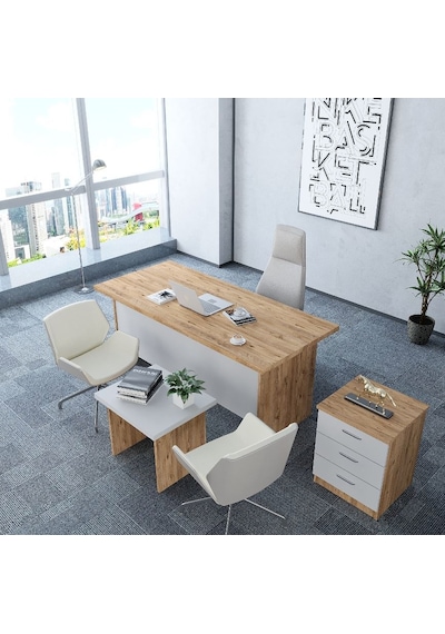Asil 3'lü Ofis Takımı  Model 9 Çam Beyaz