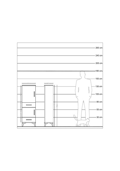 Arges Dolap 2 Raflı 2 Çekmeceli Tek Kapaklı 44x30x134 Antrasit-antrasit Antrasit