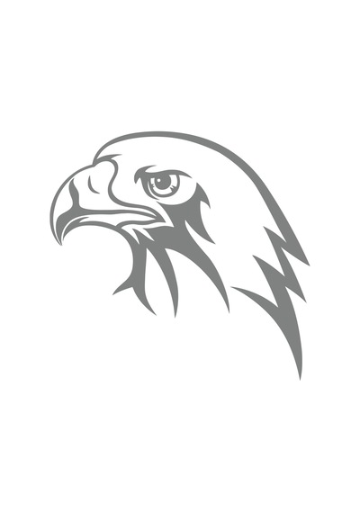 Kartal Kafası Sticker 17x17 Cm Gri