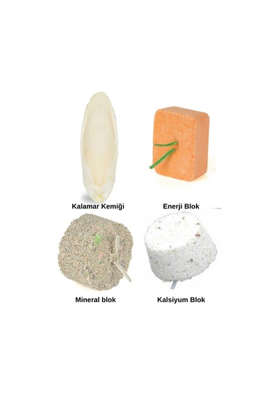 Purecanpati Quik Enerji-mineral-kalsiyum Blok-mürekkep Balığı Ka