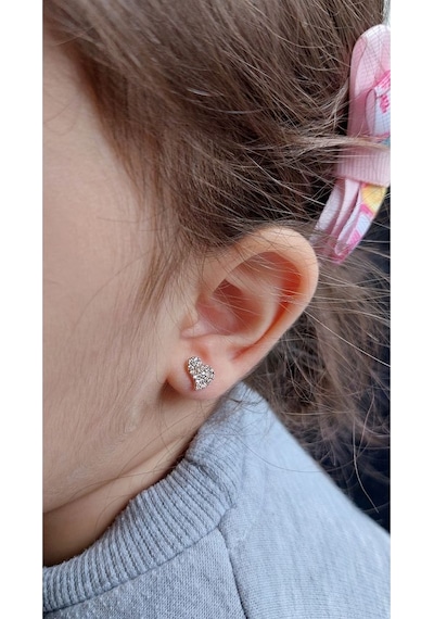 Zanaatsilver Gümüş Zirkon Taşlı Minik Kalp Küpe Zs0033kp Rose Renk 2'li Beden Gümüş