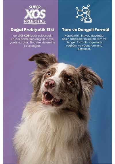 Plus Orta Ve Küçük Irk Yavru Köpekler İçin Tavuk Etli Köpek Maması 3 Kg 2 Paketi