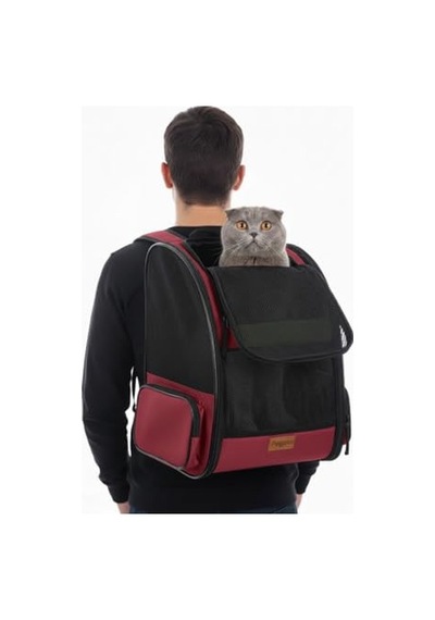 571 Collections Pugalo Airmove Premium Kedi Köpek Taşıma Çantası, Silinebilir, Yırtılmaz Fileli, Bükülmez Gövde, Sırt Çantası Tipi Siyah Açık Altın
