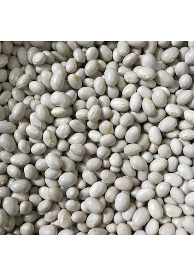 Yerli Oturak Şeker Fasulye Tohumu 500 GR