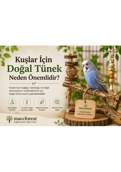 Mutlu Kuşlar Serisi / Doğal Ihlamur Ağacı Kuş Tüneği / 2 Adet - 30/35cm