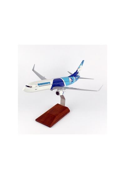 Thy050 1/100 Ölçek, Thy Erzurum Spor Logolu B737-800 Yolcu Uçağı, Sergilemeye Hazır Ahşap Standlı Model-56299