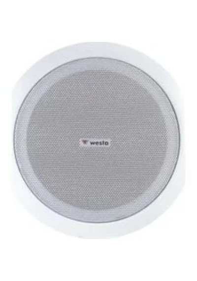 Westa Ws-2035t 8ınc 30w Trafolu Alçıpan Hoparlör