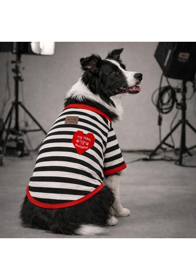 Alphadog Awesome Orta-büyük Irk Köpek T-shirtü