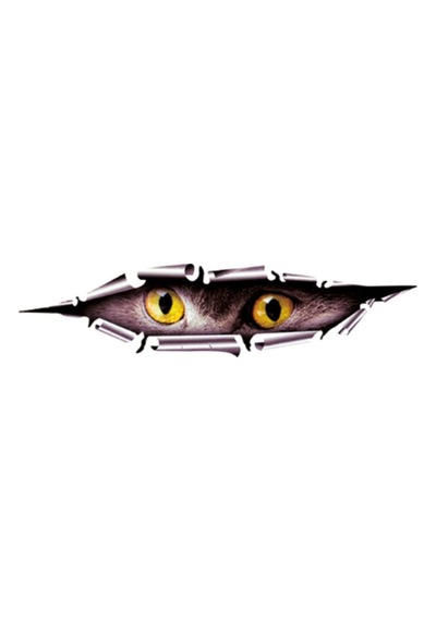 Model1 Baykuş Araba Oto Sticker Yapıştırma Renkli