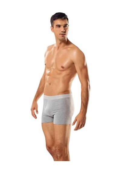 Epilons Zenvial Tutku 0114 Erkek Licralı Penye Boxer Zenviall2 Gri