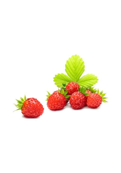 Yayılıcı Dağ Çileği Tohumu 10 Tohum Çilek Tohumu +