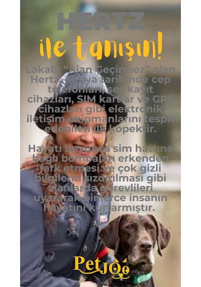 Petjoo 26.Hertz Sarı-Gri Qr'lı Köpek Künyesi