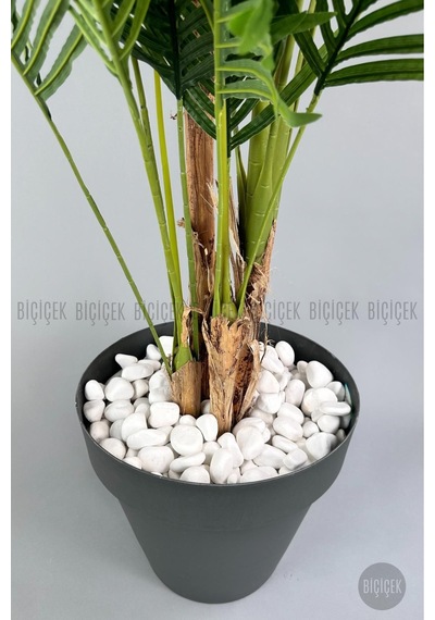 Biçiçek Yapay Areka Ağaci 220 Cm 4 Gövdeli̇ Antresi̇t Yali Saksıda