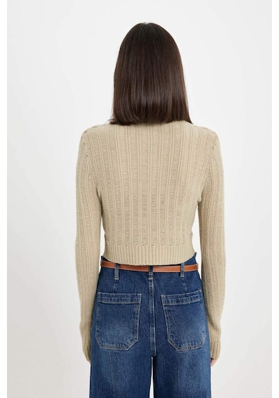 DeFacto Regular Fit Crop Bisiklet Yaka Örgü Delikli Triko Kazak C6321AX24WNGN270 Yeşil